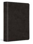 ESV Value Large Print Compact Bible - Black TruTone