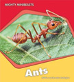 Ants - Mighty Minibeasts