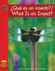 What is an Insect - Yellow Umbrella Spanish/English Bilingual